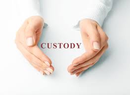 Custody (2015)