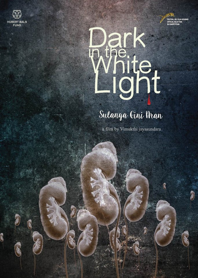 Dark In The White Light (2015)