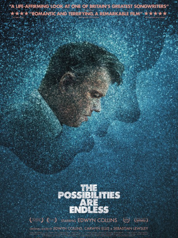 The Possibilities Are Endless  (2014)