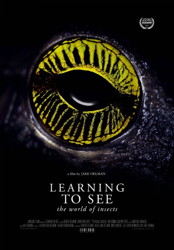 Learning to See - The World of Insects (2016)