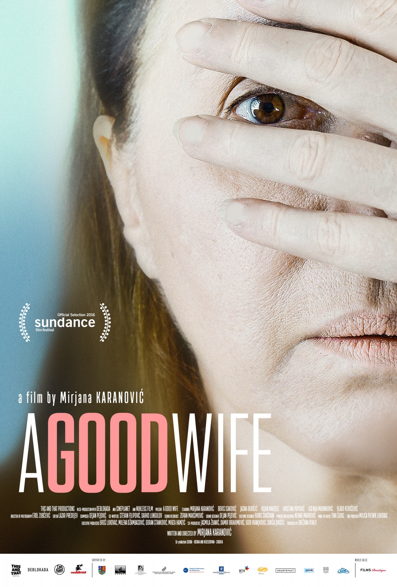 A Good Wife (2016)