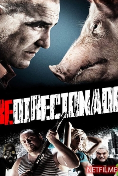 Redirecionado (2014)