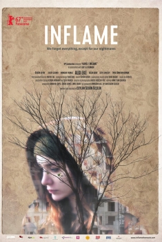 Inflame (2017)