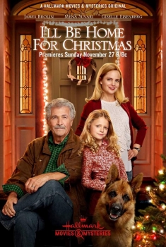 Estarei Em Casa Para O Natal (2016)